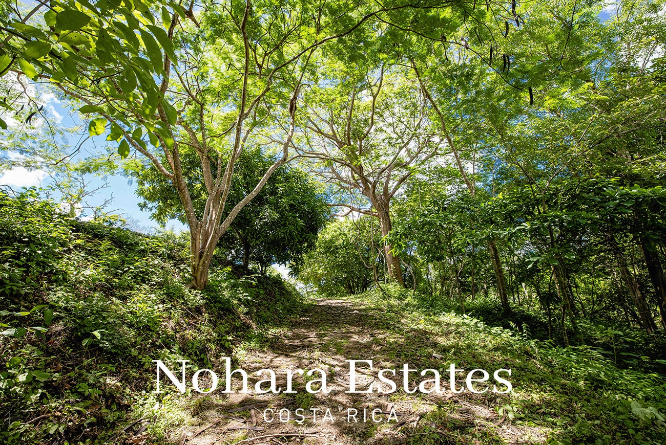 Nohara Estates Costa Rica Costa Rica Luxury Real Estate Development Opportunity 028