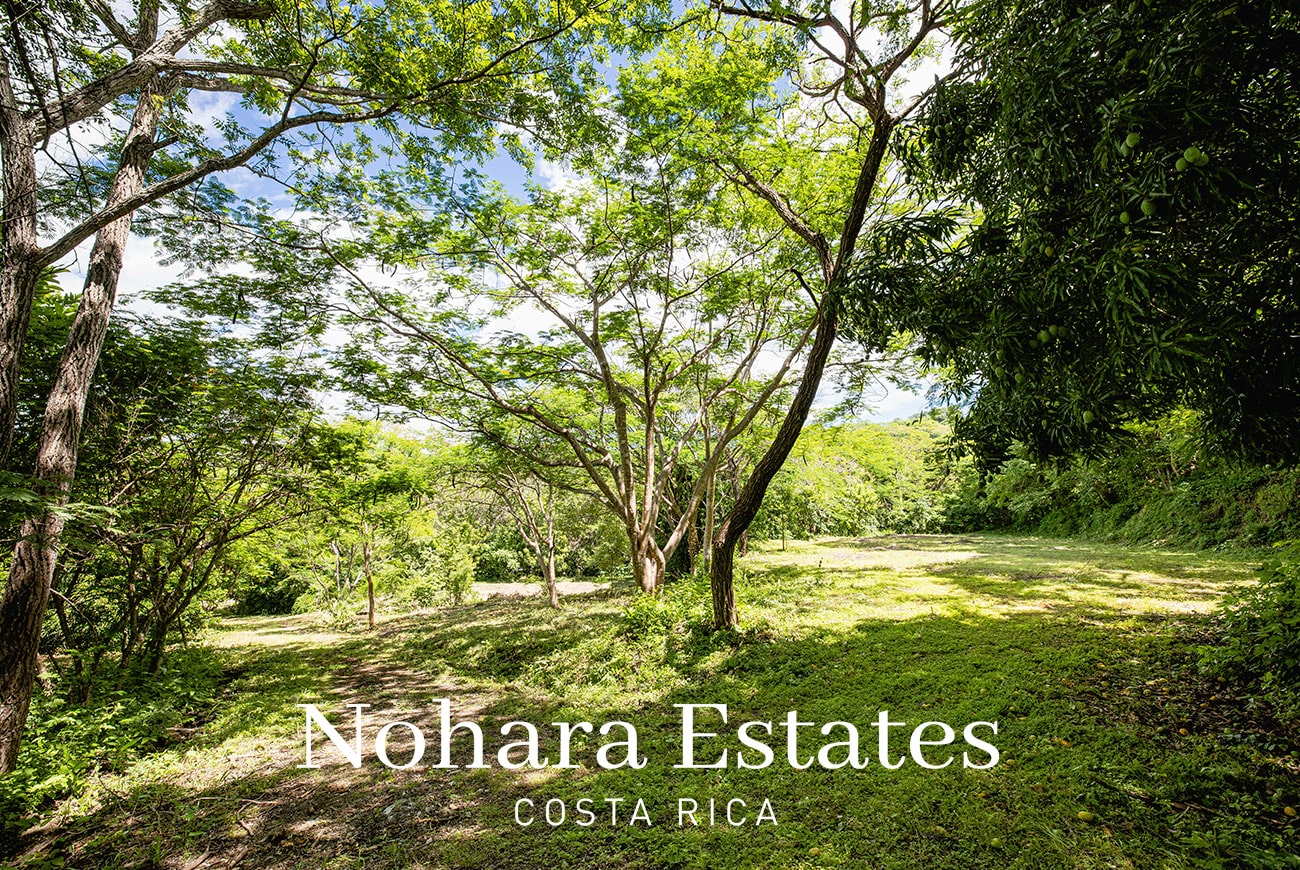 Nohara Estates Costa Rica Costa Rica Luxury Real Estate Development Opportunity 029