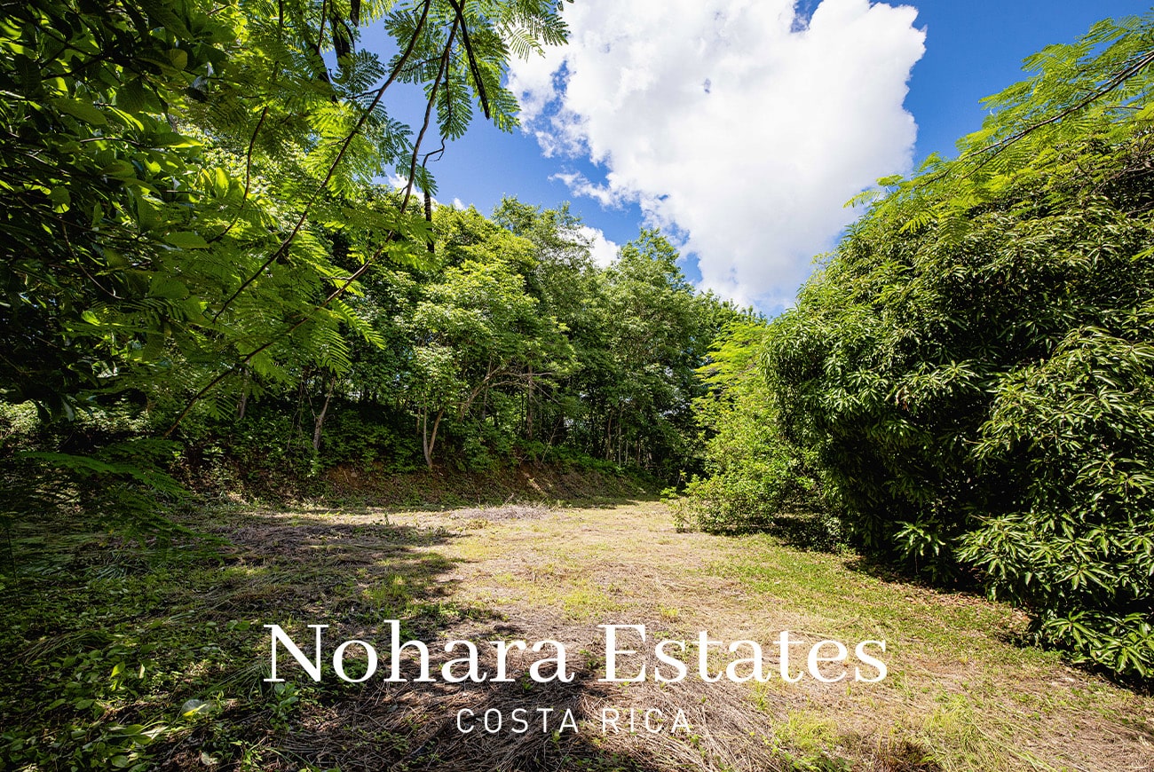 Nohara Estates Costa Rica Costa Rica Luxury Real Estate Development Opportunity 032