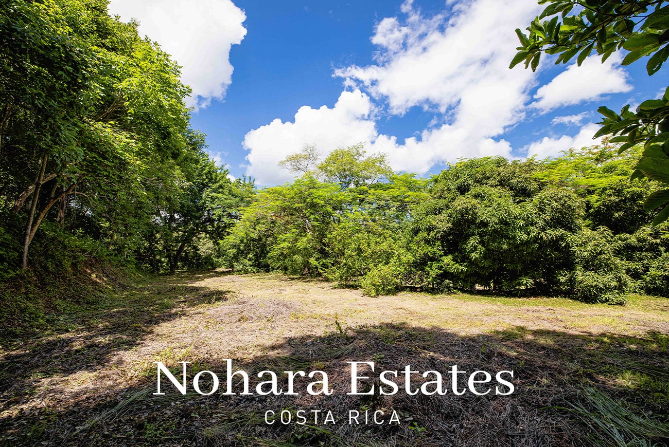 Nohara Estates Costa Rica Costa Rica Luxury Real Estate Development Opportunity 033