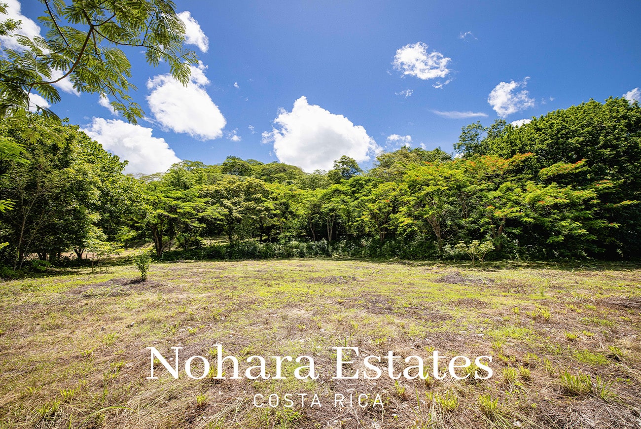Nohara Estates Costa Rica Costa Rica Luxury Real Estate Development Opportunity 036