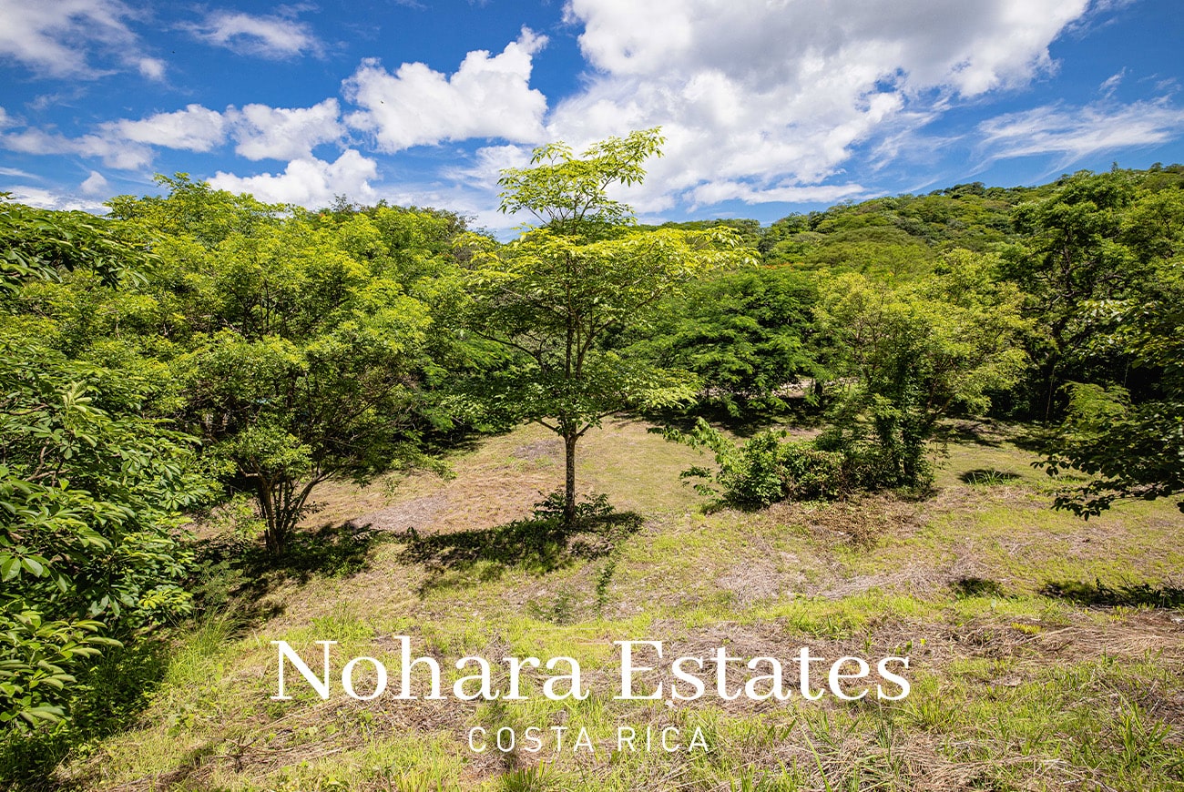 Nohara Estates Costa Rica Costa Rica Luxury Real Estate Development Opportunity 039