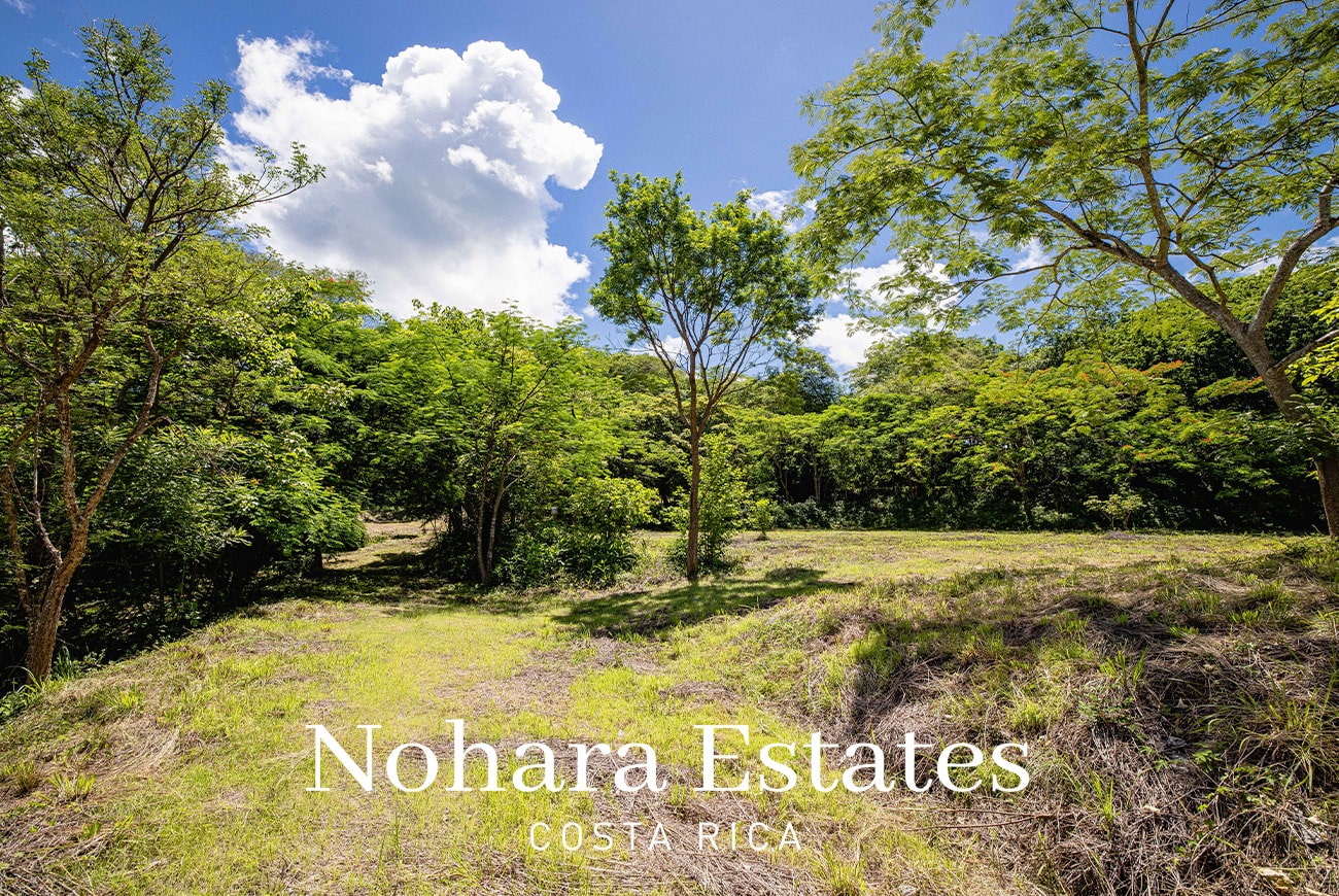 Nohara Estates Costa Rica Costa Rica Luxury Real Estate Development Opportunity 041