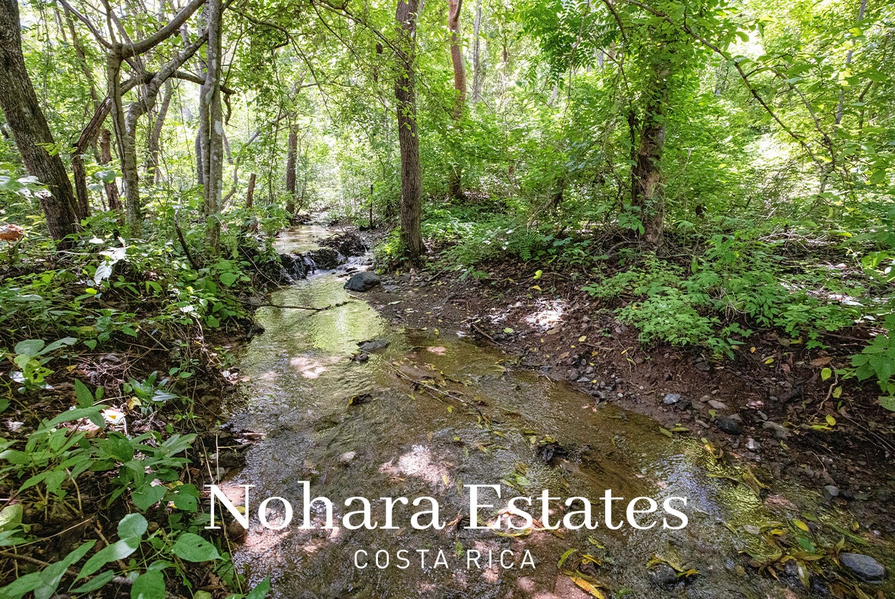 Nohara Estates Costa Rica Costa Rica Luxury Real Estate Development Opportunity 045