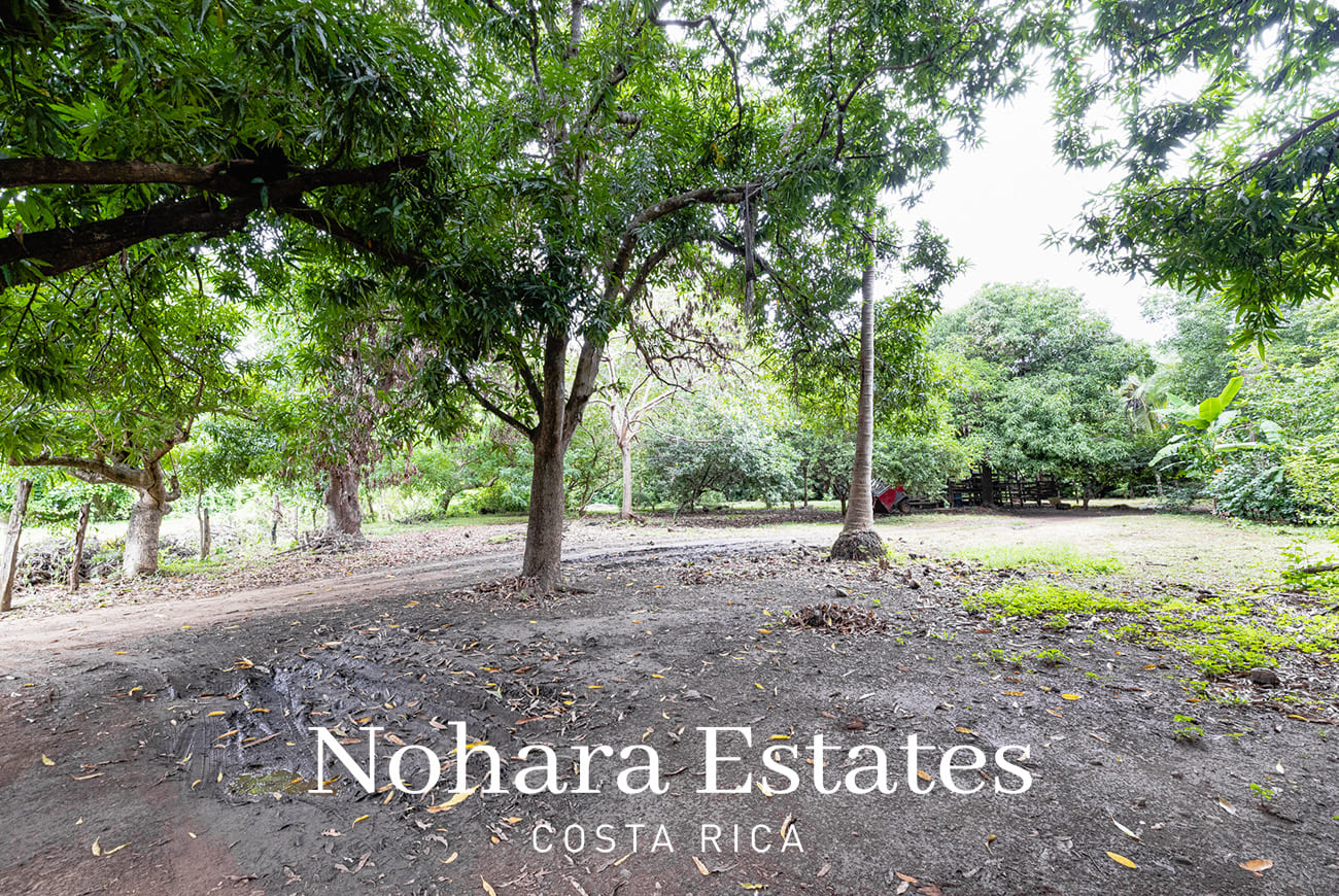 Nohara Estates Costa Rica Coco Bay Parcels 008