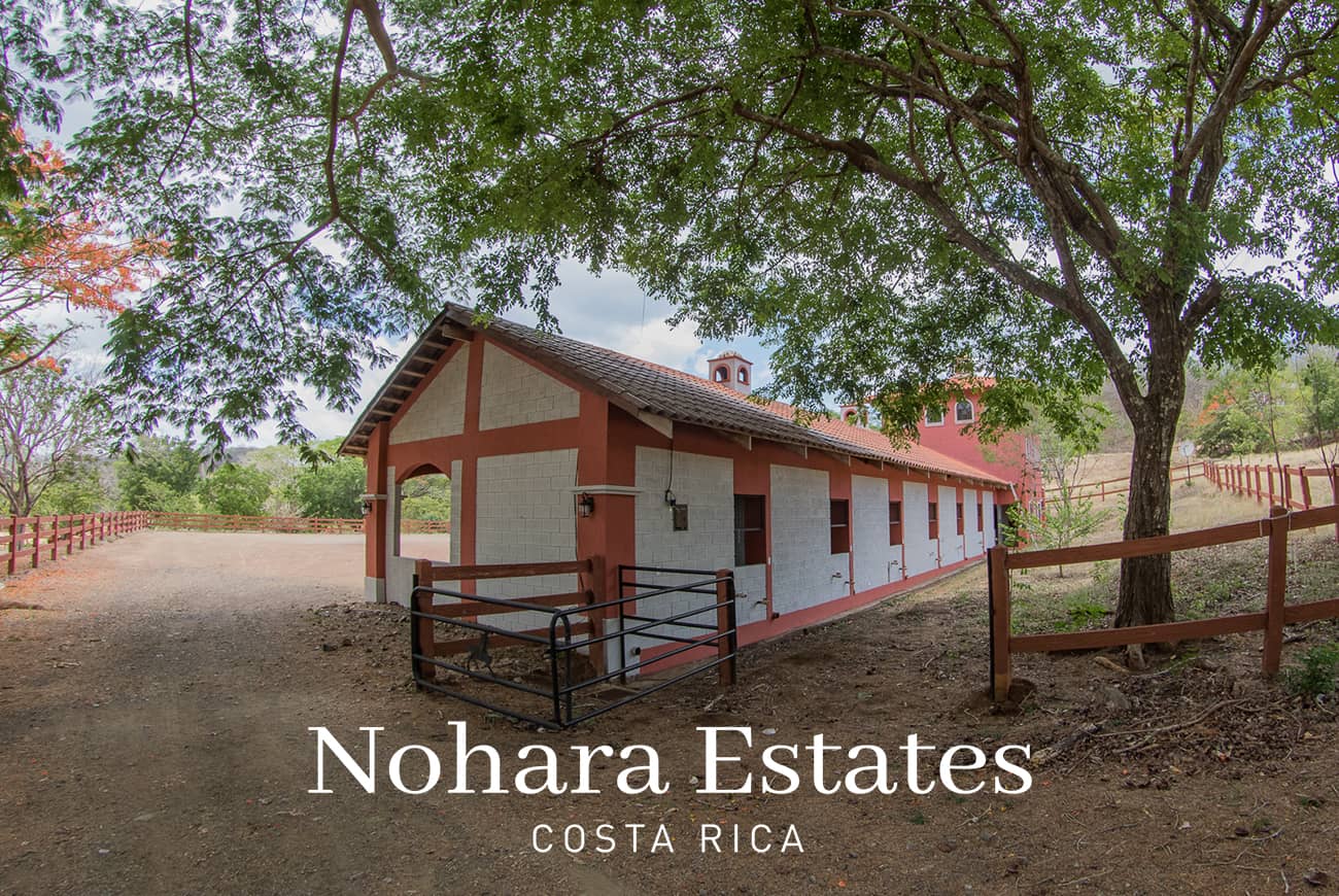 Nohara Estates Costa Rica Equestrian Center Costa Rica 002