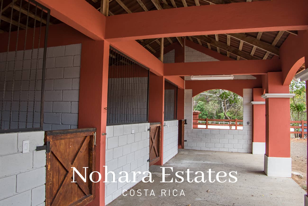 Nohara Estates Costa Rica Equestrian Center Costa Rica 005
