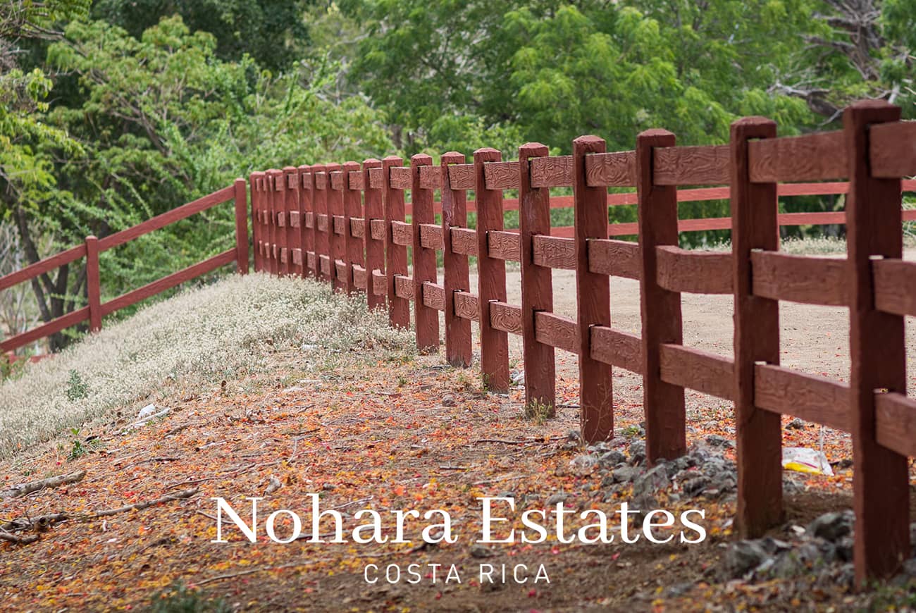 Nohara Estates Costa Rica Equestrian Center Costa Rica 007