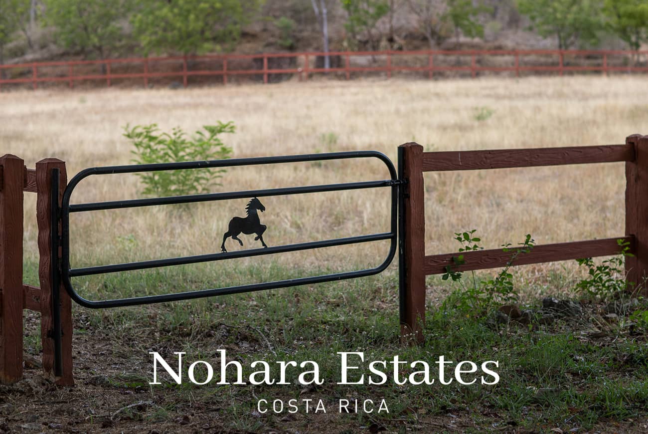 Nohara Estates Costa Rica Equestrian Center Costa Rica 008