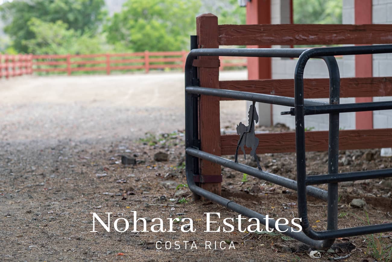 Nohara Estates Costa Rica Equestrian Center Costa Rica 010