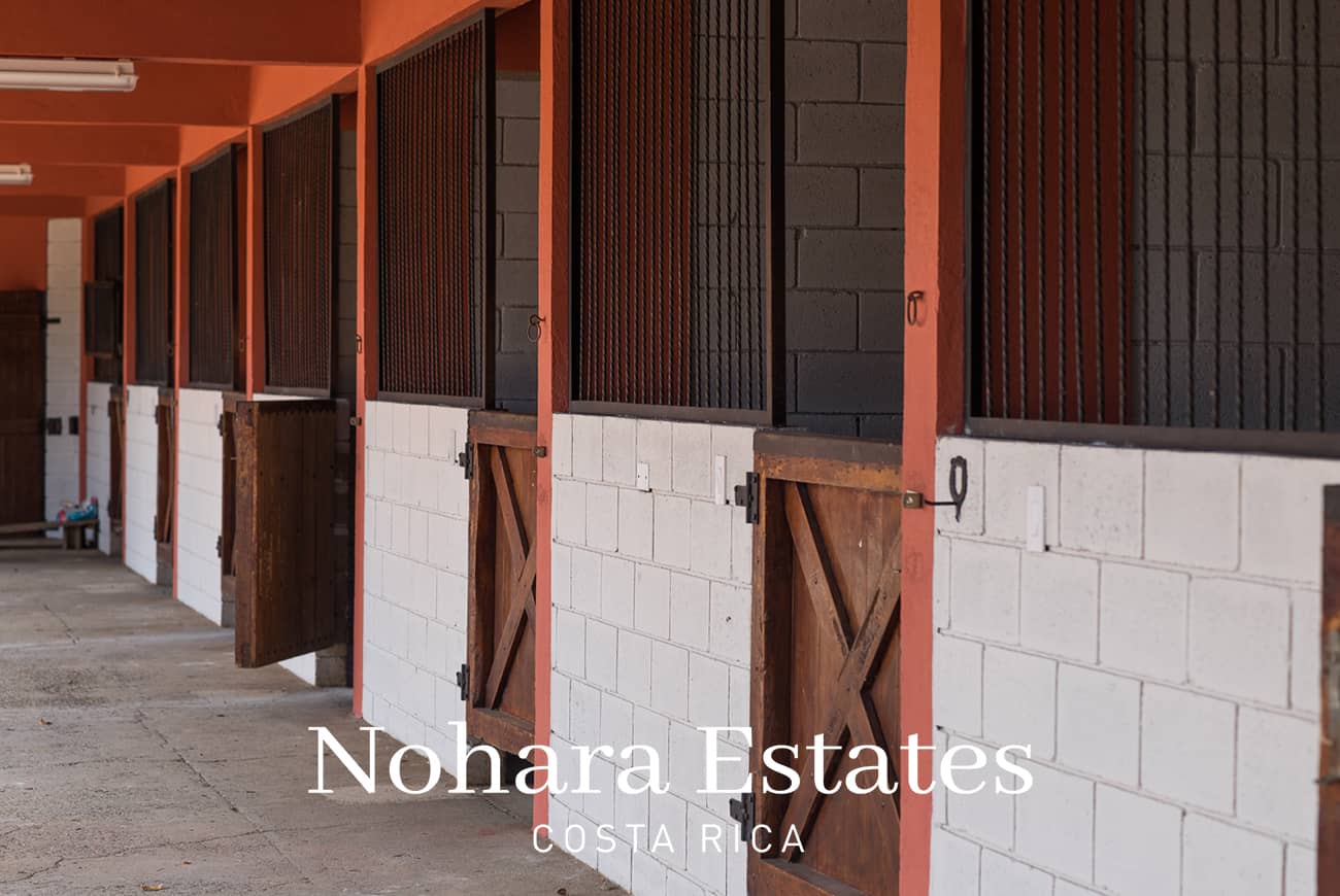 Nohara Estates Costa Rica Equestrian Center Costa Rica 011