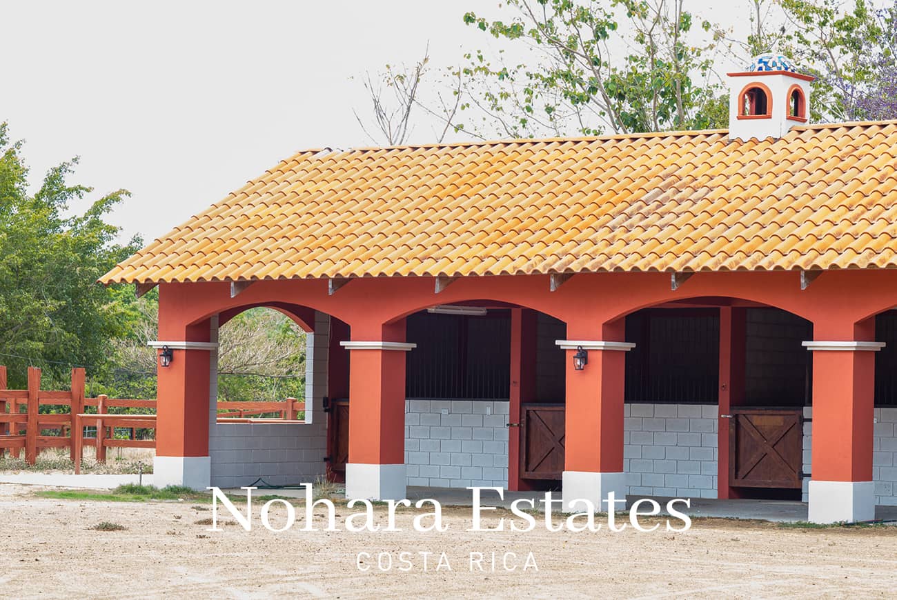 Nohara Estates Costa Rica Equestrian Center Costa Rica 012
