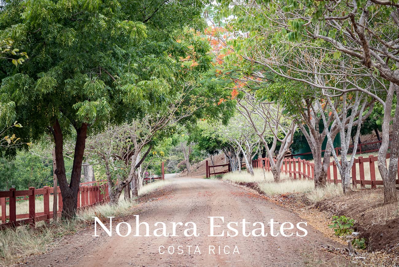 Nohara Estates Costa Rica Equestrian Center Costa Rica 014