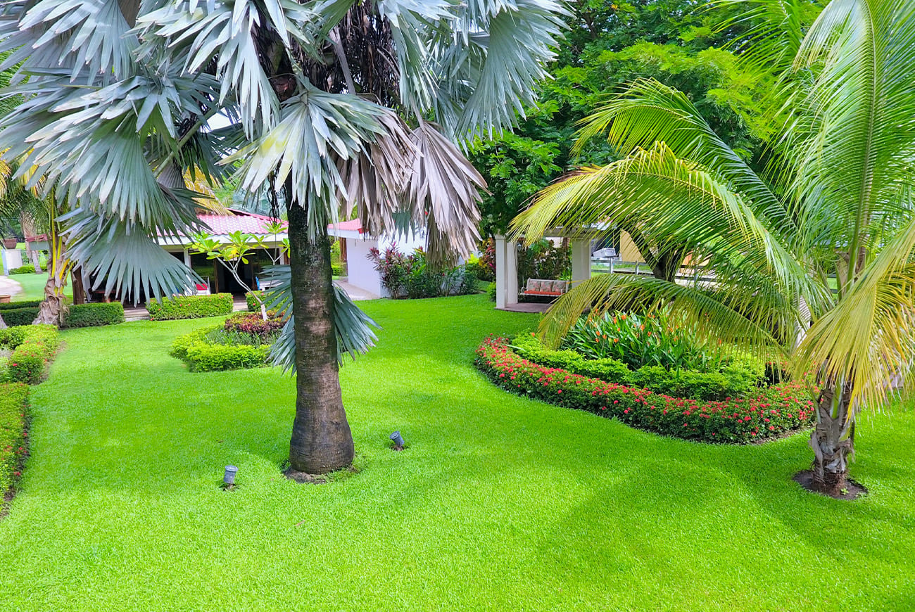 Nohara Estates Costa Rica Villa Sueno 006