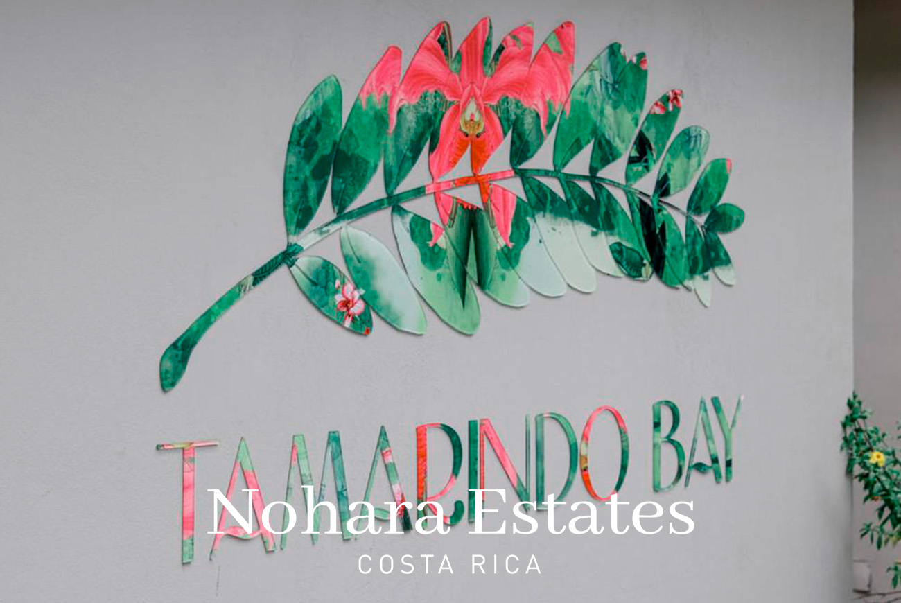 Nohara Estates Costa Rica Commercial Tamarindo Bay Boutique Hotel 019