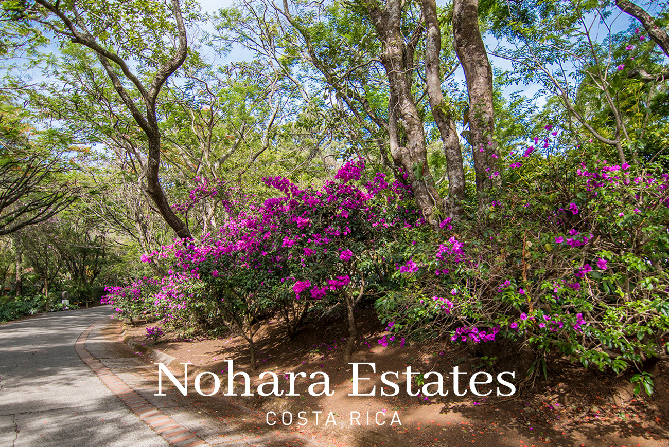 Nohara Estates Costa Rica Montana Del Sol Mountain Luxury Development 011