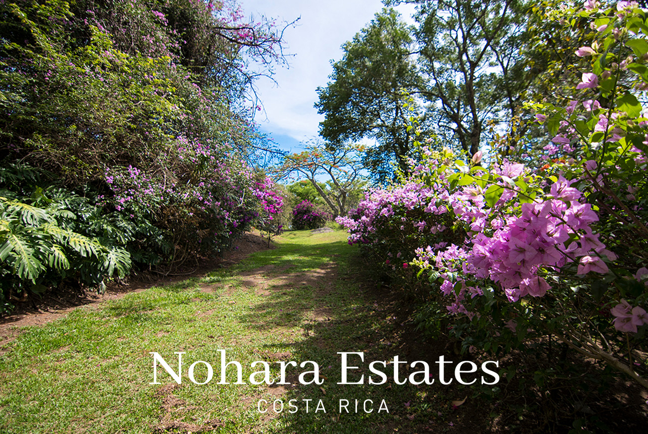 Nohara Estates Costa Rica Montana Del Sol Mountain Luxury Development 015