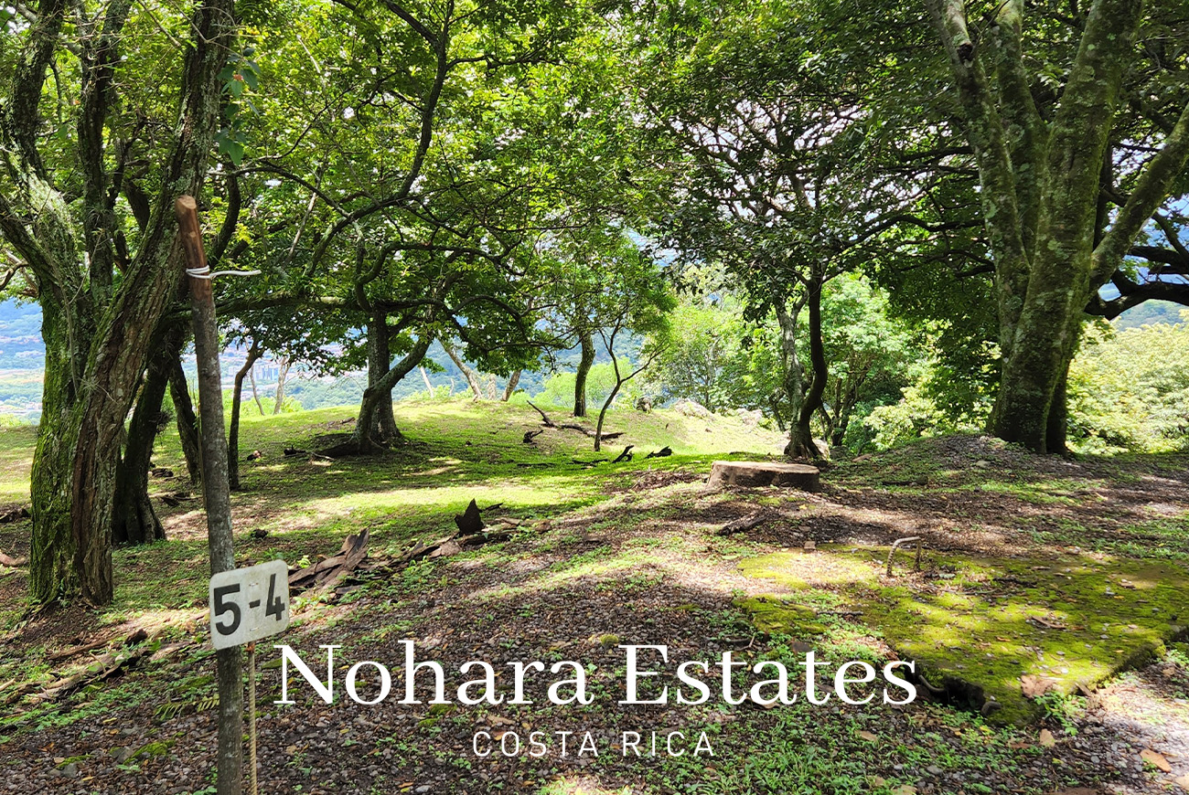 Nohara Estates Costa Rica Montana Del Sol Mountain Luxury Development 017