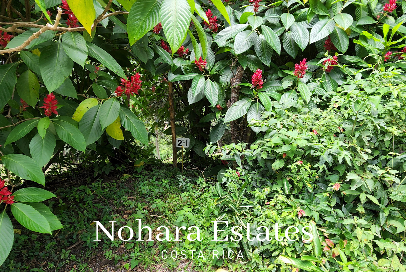 Nohara Estates Costa Rica Montana Del Sol Mountain Luxury Development 018
