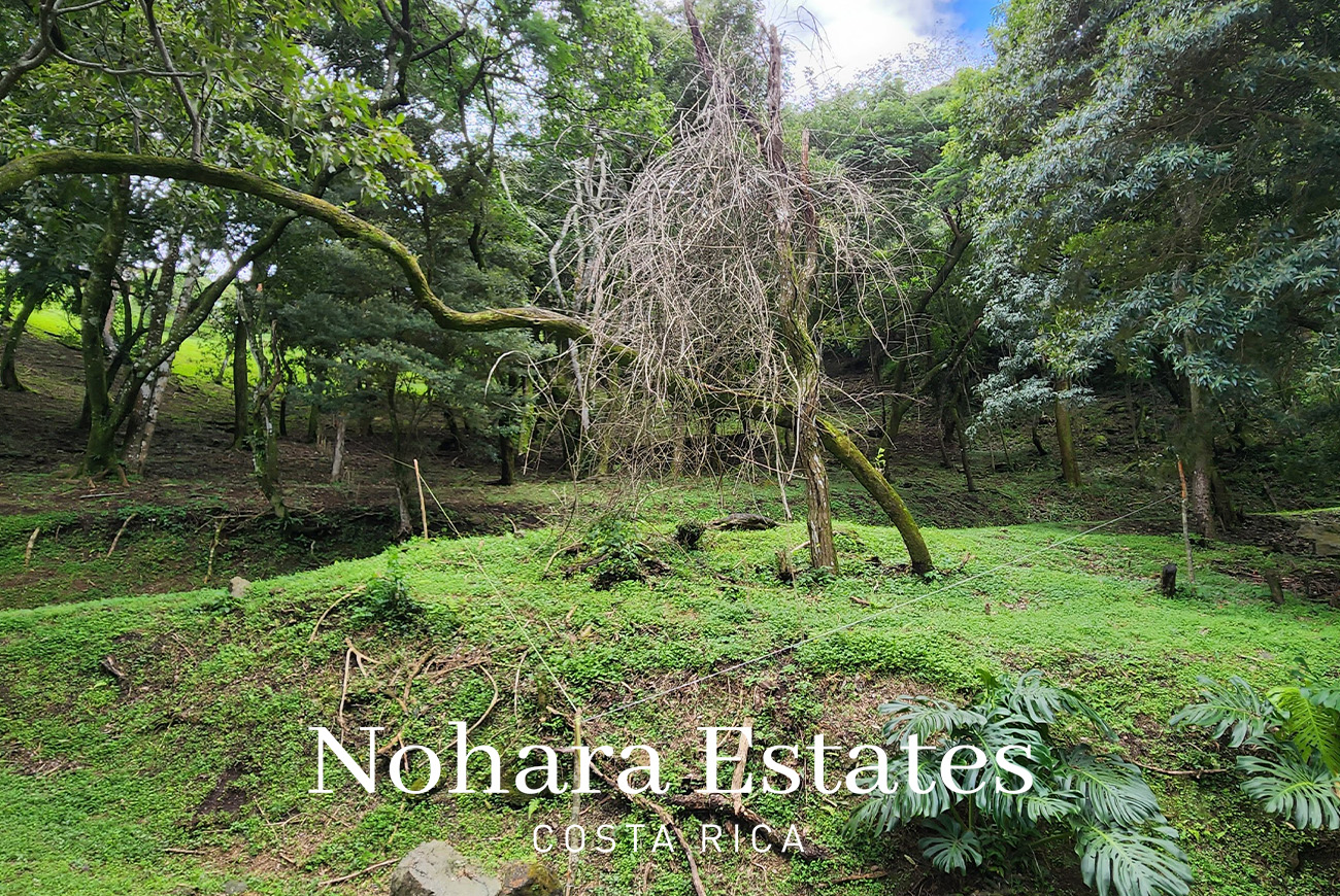 Nohara Estates Costa Rica Montana Del Sol Mountain Luxury Development 022
