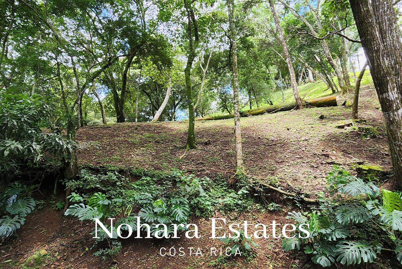 Nohara Estates Costa Rica Montana Del Sol Mountain Luxury Development 023