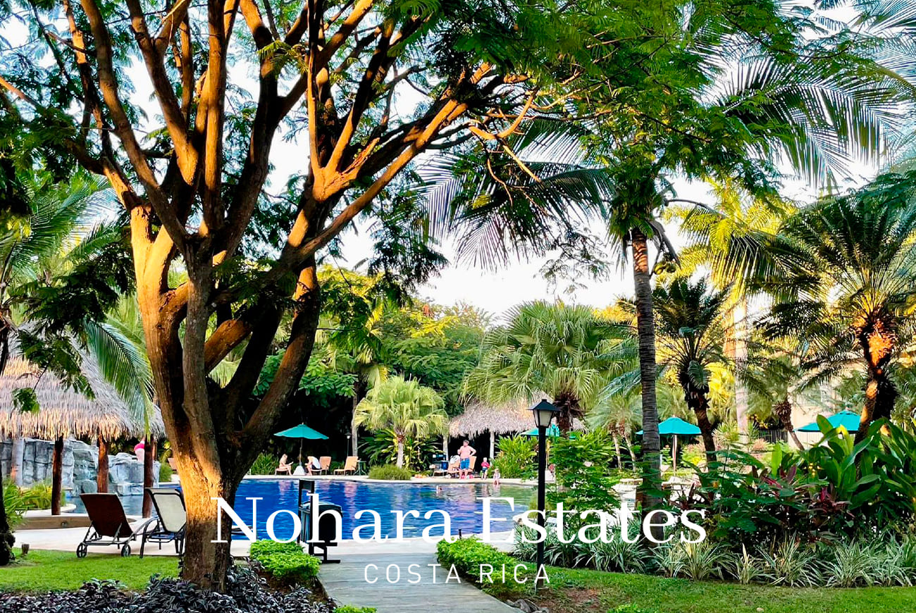 Nohara Estates Costa Rica Coco Bay 25 041