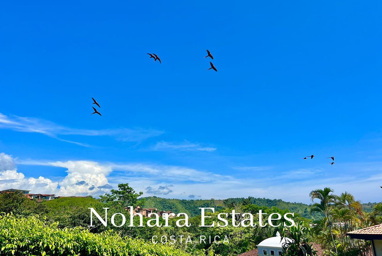 Nohara Estates Costa Rica Casa Mar Los Suenos Resort 020