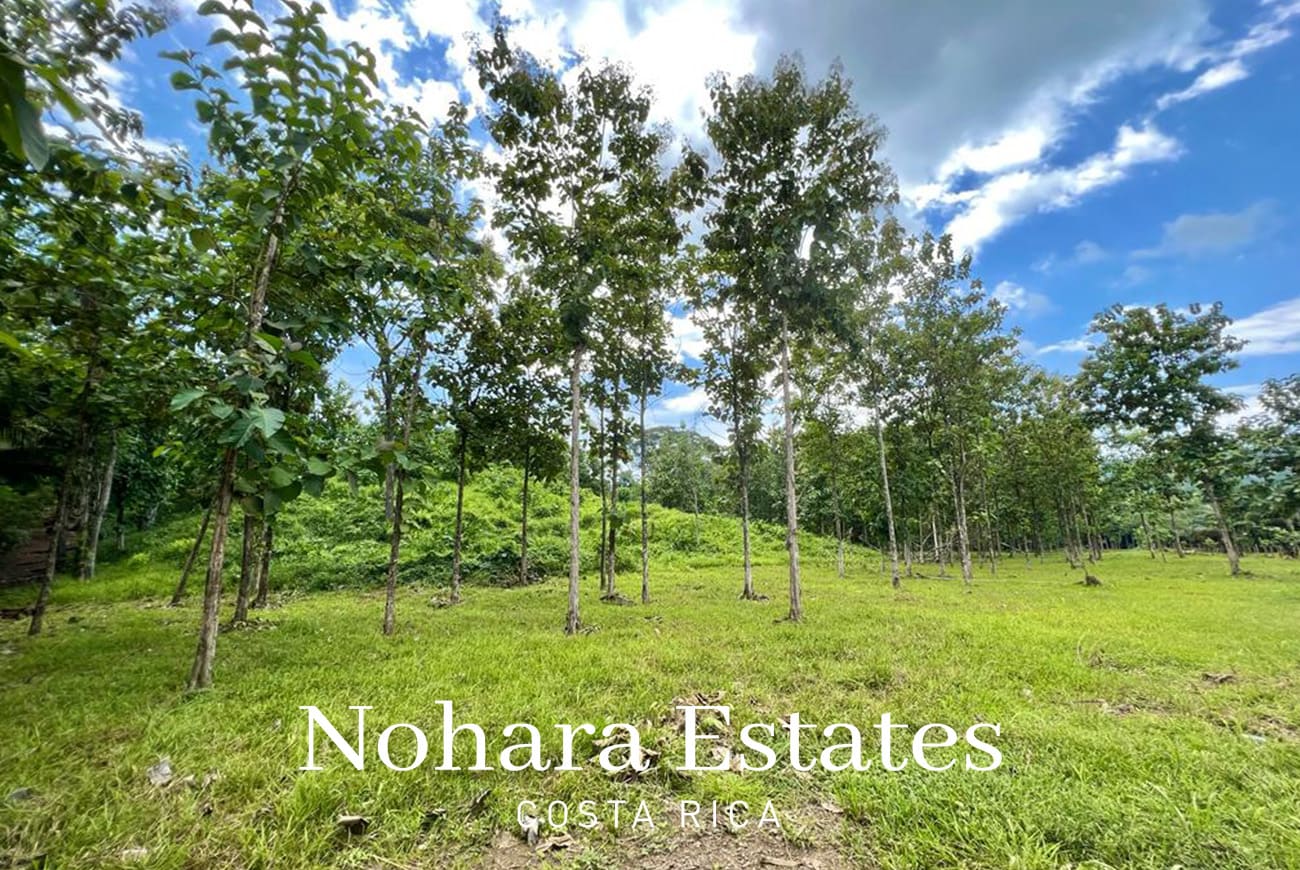 Nohara Estates Costa Rica Development Opportunity In Herradura 001