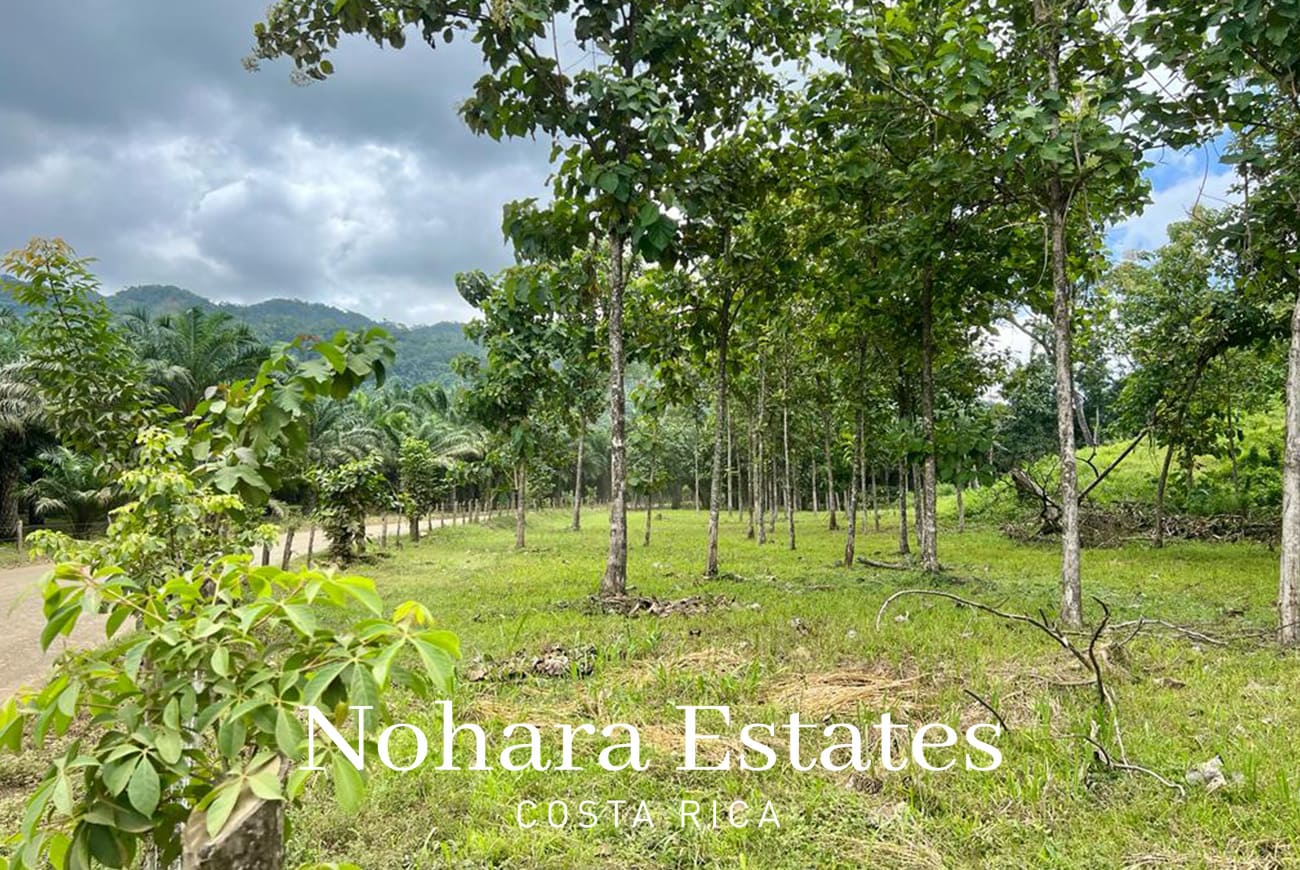 Nohara Estates Costa Rica Development Opportunity In Herradura 002
