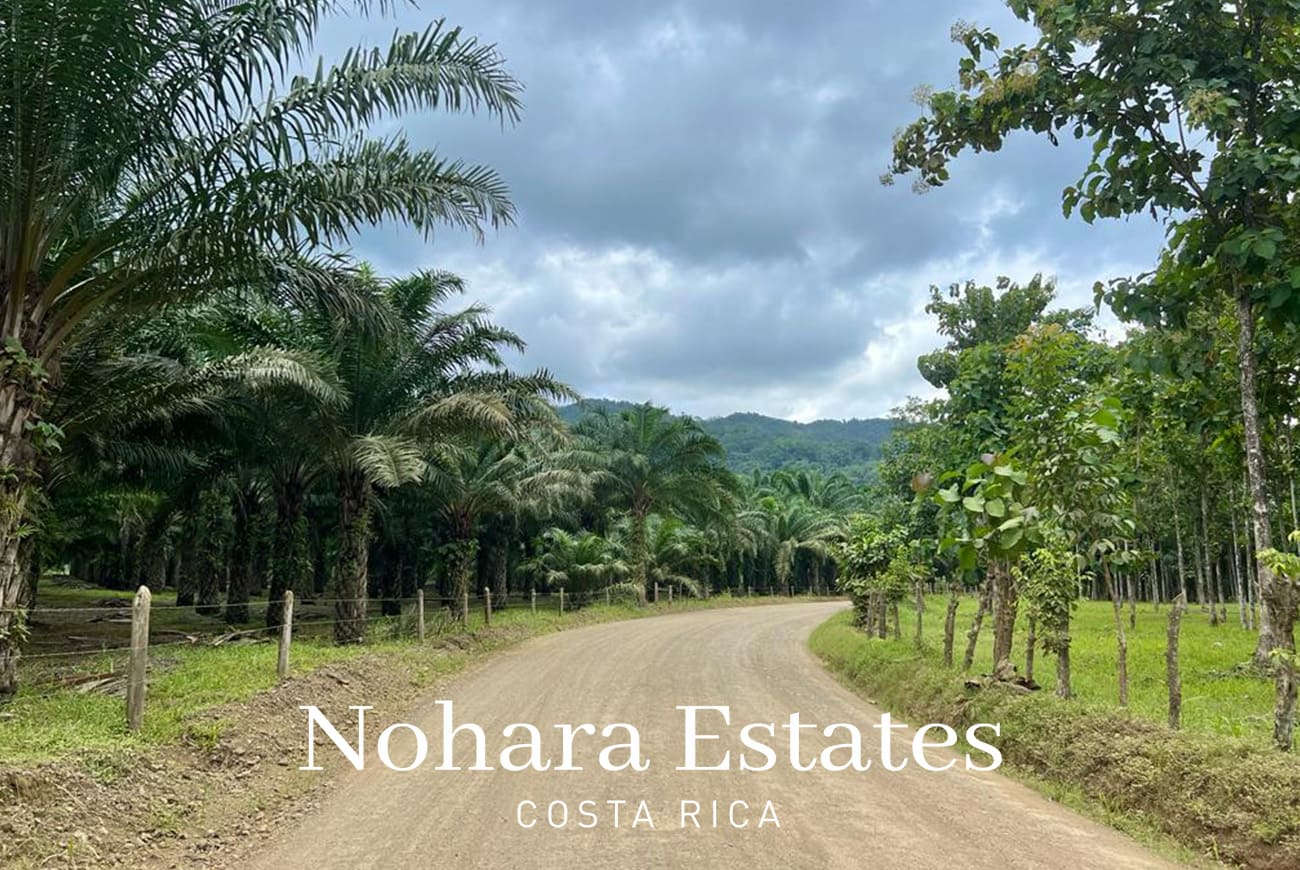 Nohara Estates Costa Rica Development Opportunity In Herradura 004