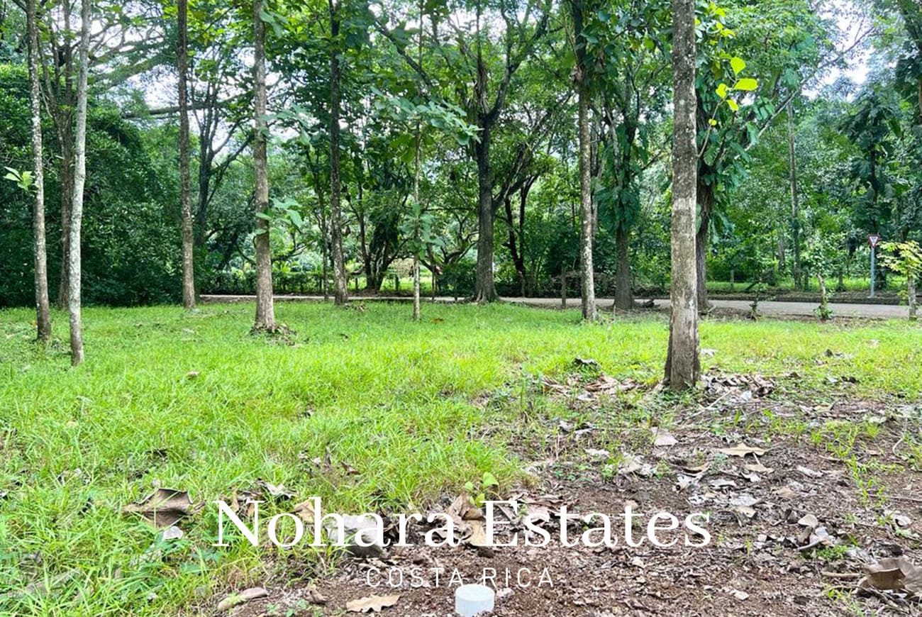 Nohara Estates Costa Rica Development Opportunity In Herradura 005