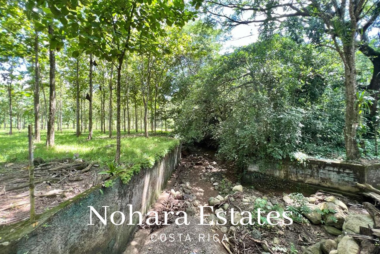 Nohara Estates Costa Rica Development Opportunity In Herradura 007