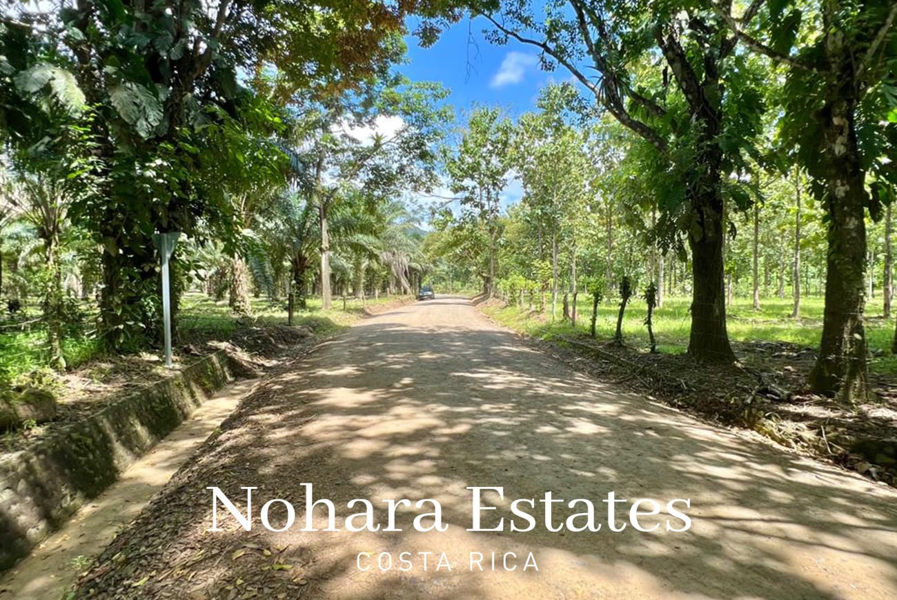 Nohara Estates Costa Rica Development Opportunity In Herradura 008