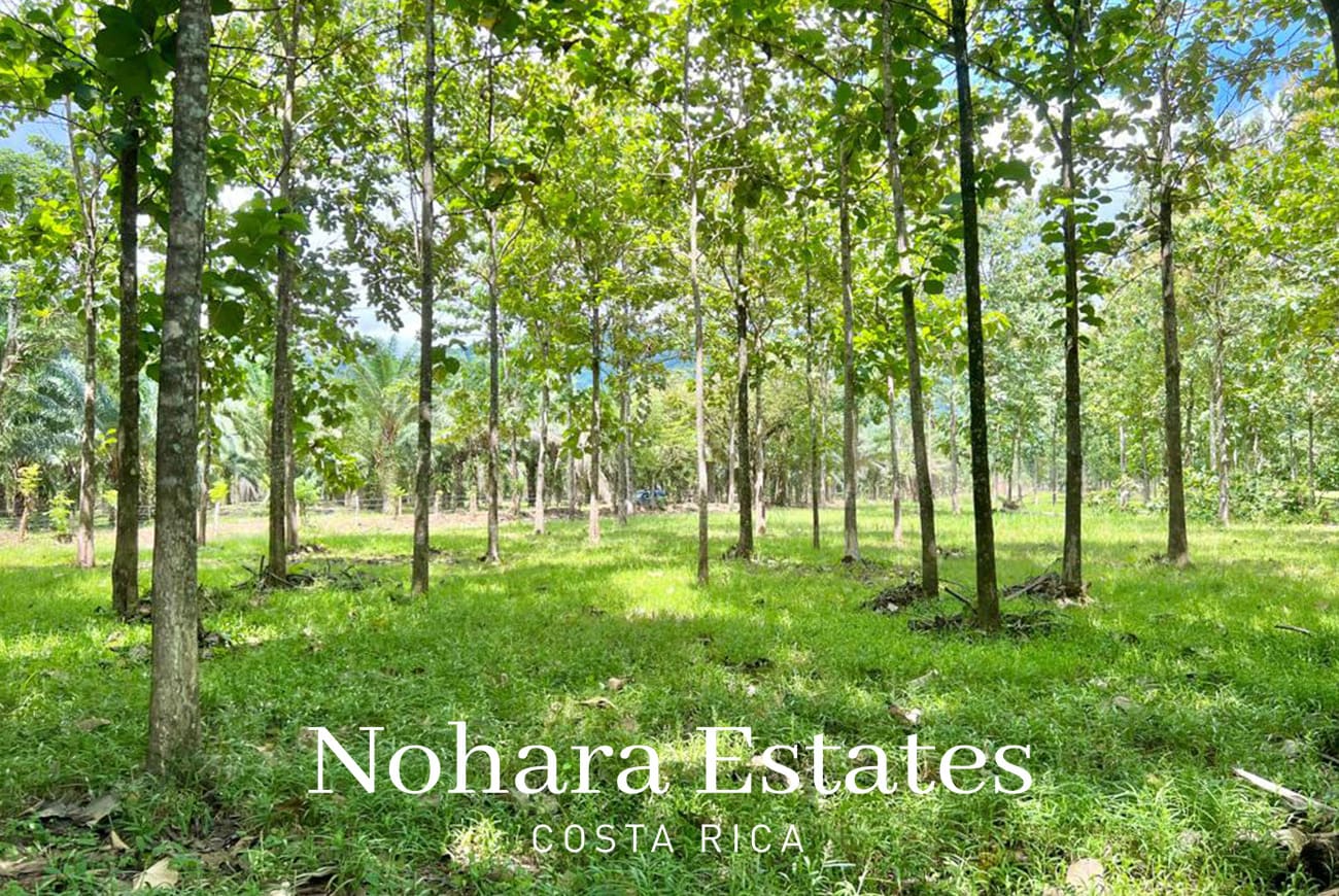 Nohara Estates Costa Rica Development Opportunity In Herradura 009