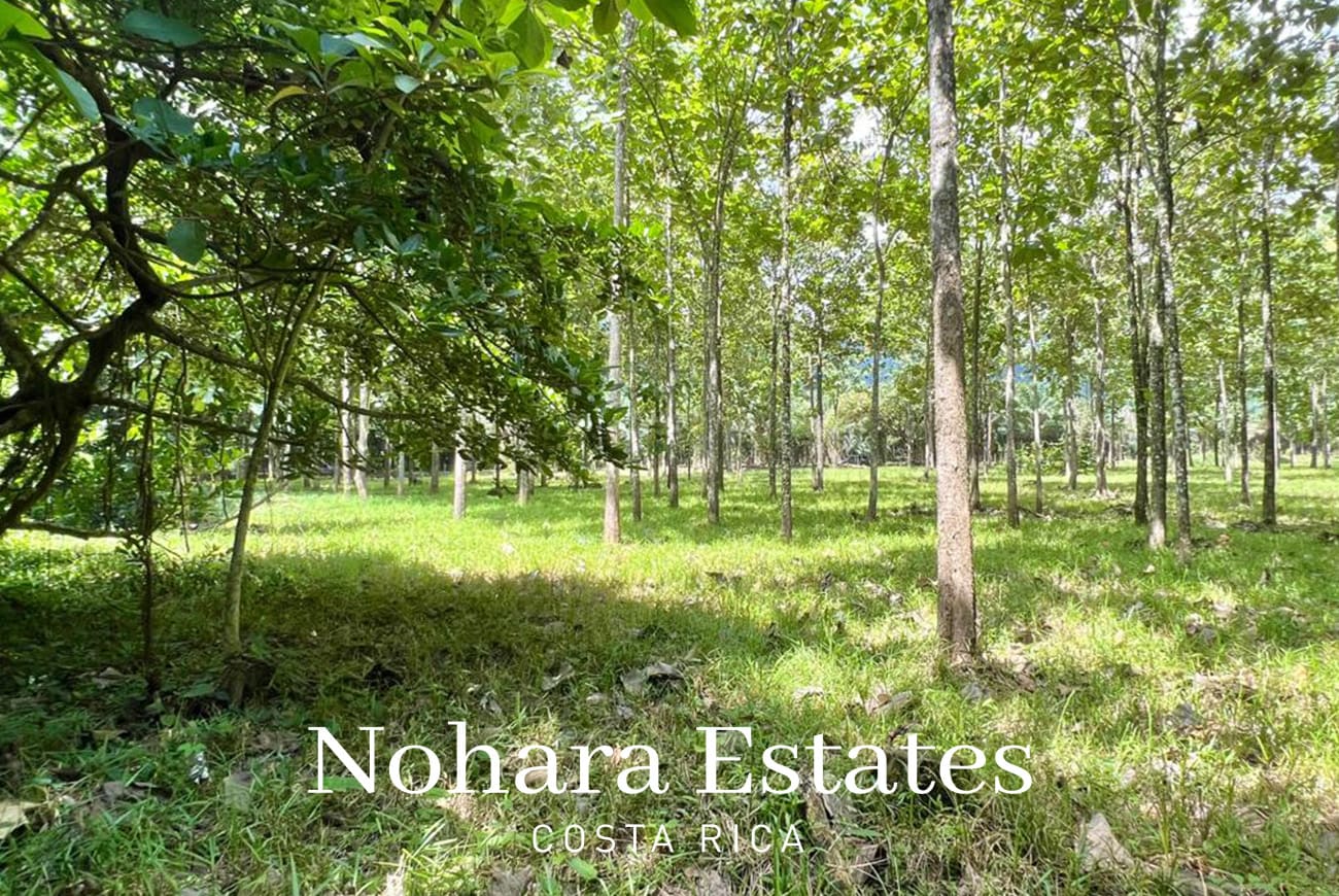 Nohara Estates Costa Rica Development Opportunity In Herradura 010
