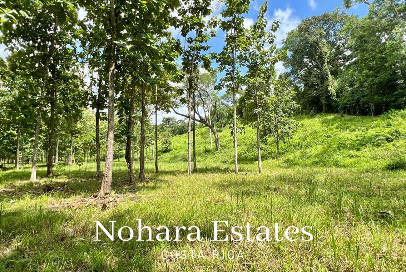 Nohara Estates Costa Rica Development Opportunity In Herradura 011