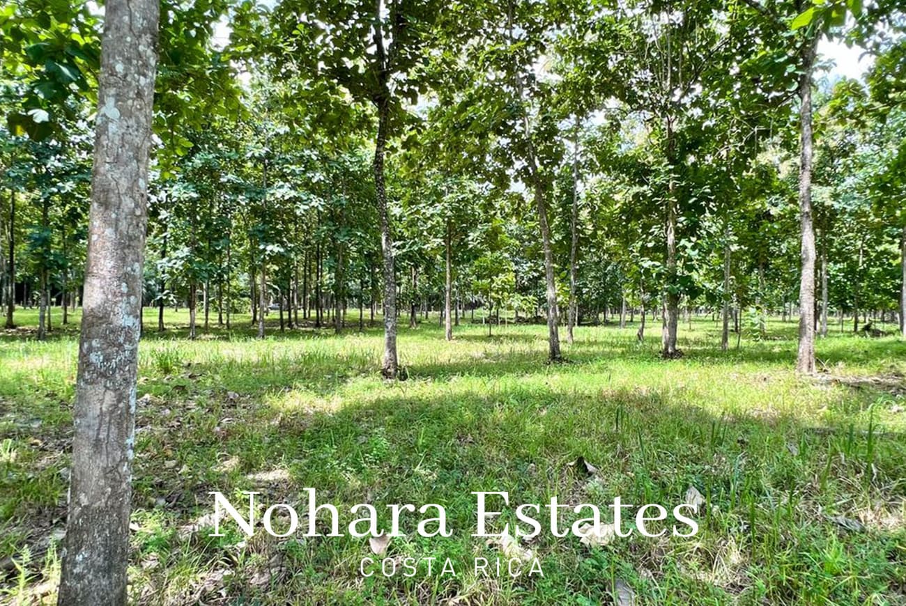 Nohara Estates Costa Rica Development Opportunity In Herradura 012