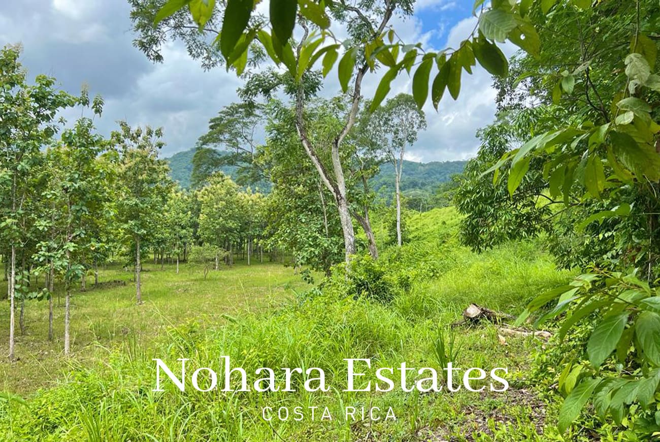 Nohara Estates Costa Rica Development Opportunity In Herradura 013