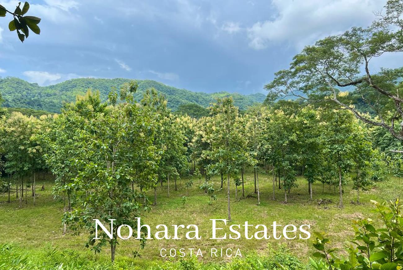 Nohara Estates Costa Rica Development Opportunity In Herradura 014