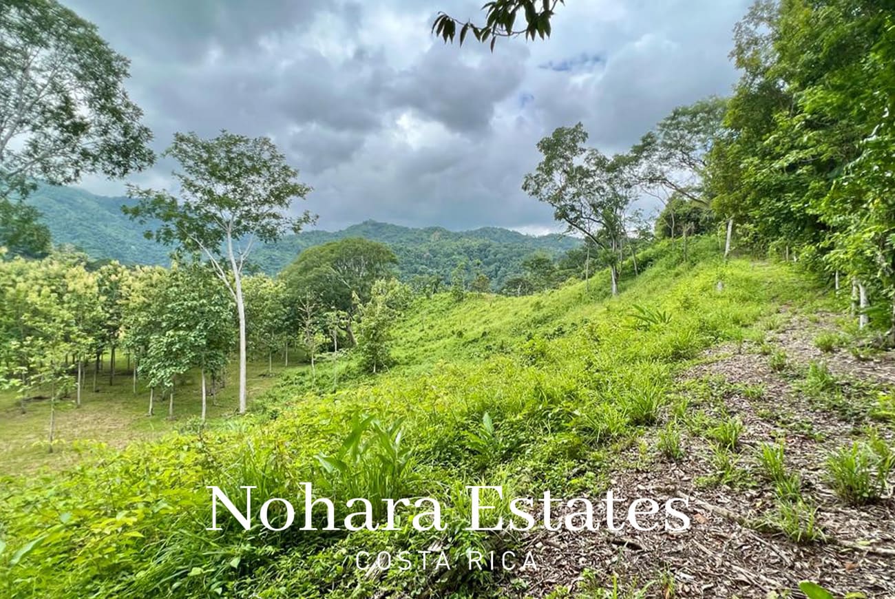 Nohara Estates Costa Rica Development Opportunity In Herradura 015