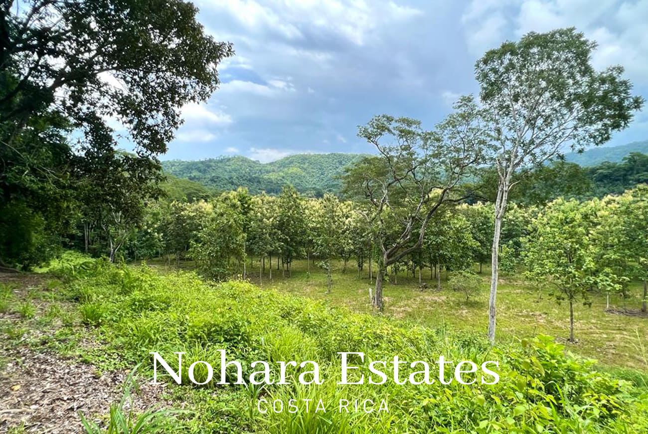 Nohara Estates Costa Rica Development Opportunity In Herradura 016