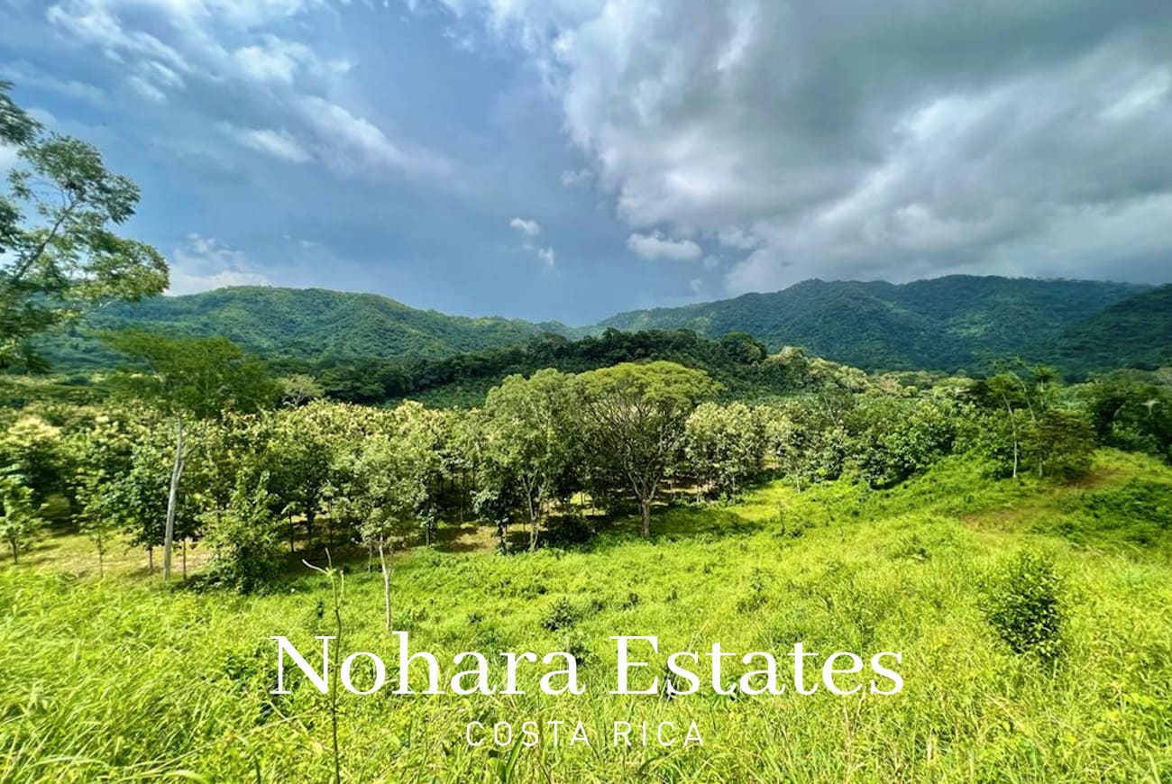 Nohara Estates Costa Rica Development Opportunity In Herradura 017
