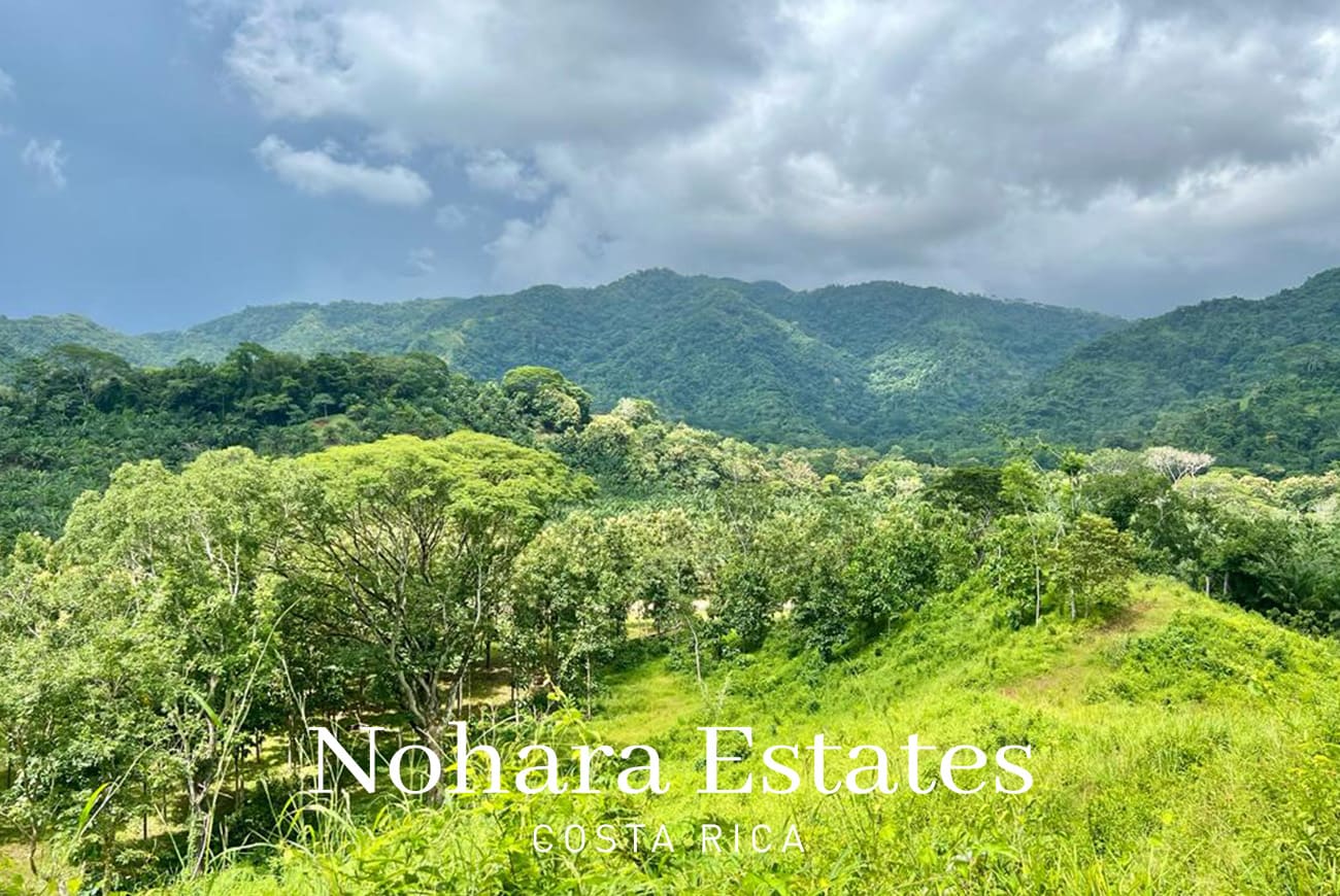 Nohara Estates Costa Rica Development Opportunity In Herradura 018