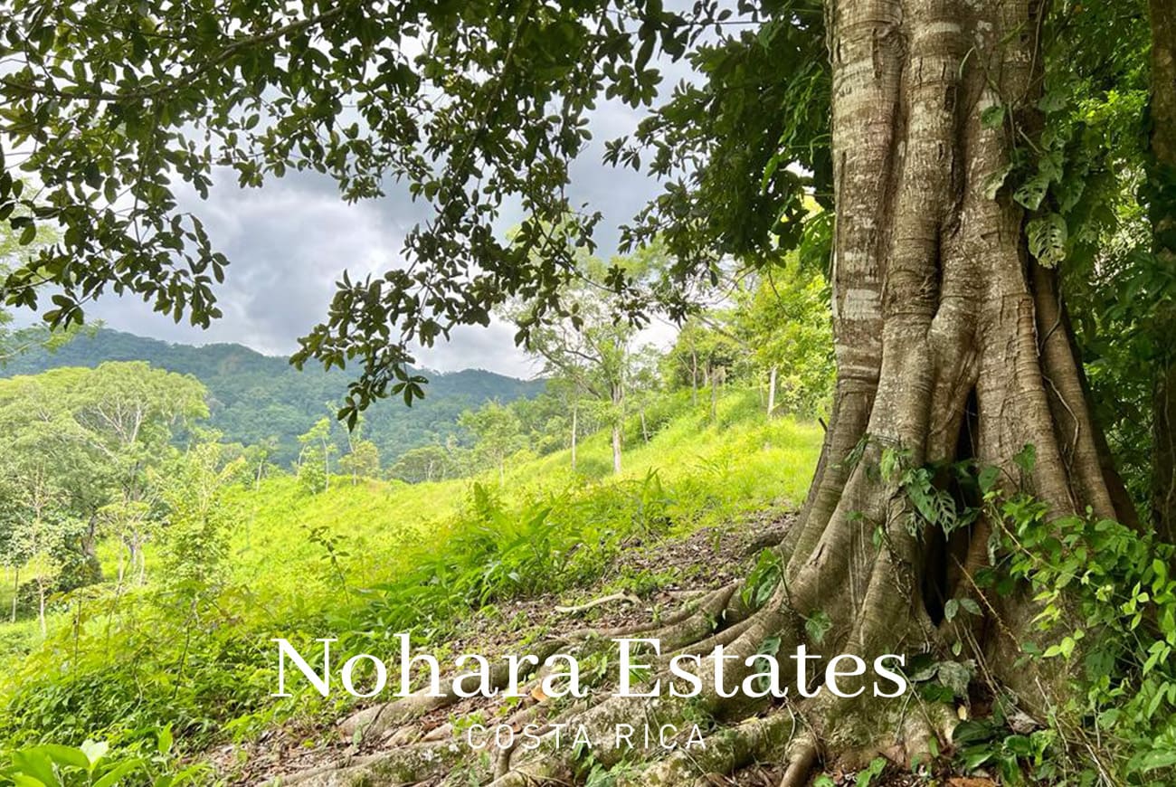 Nohara Estates Costa Rica Development Opportunity In Herradura 019