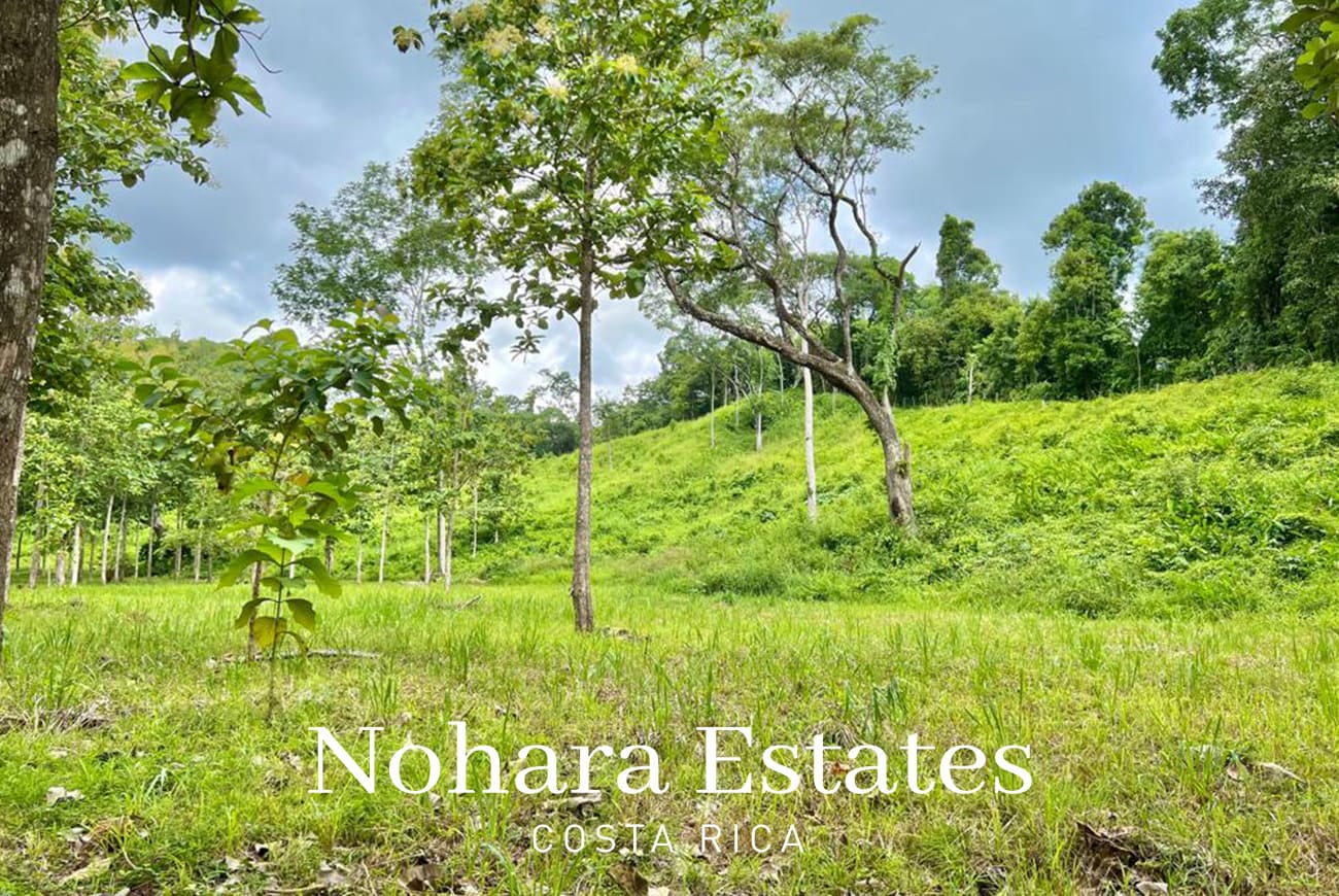 Nohara Estates Costa Rica Development Opportunity In Herradura 022