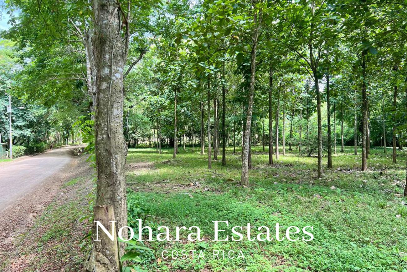 Nohara Estates Costa Rica Development Opportunity In Herradura 026