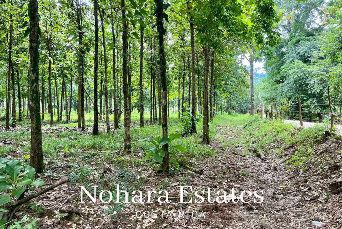 Nohara Estates Costa Rica Development Opportunity In Herradura 028