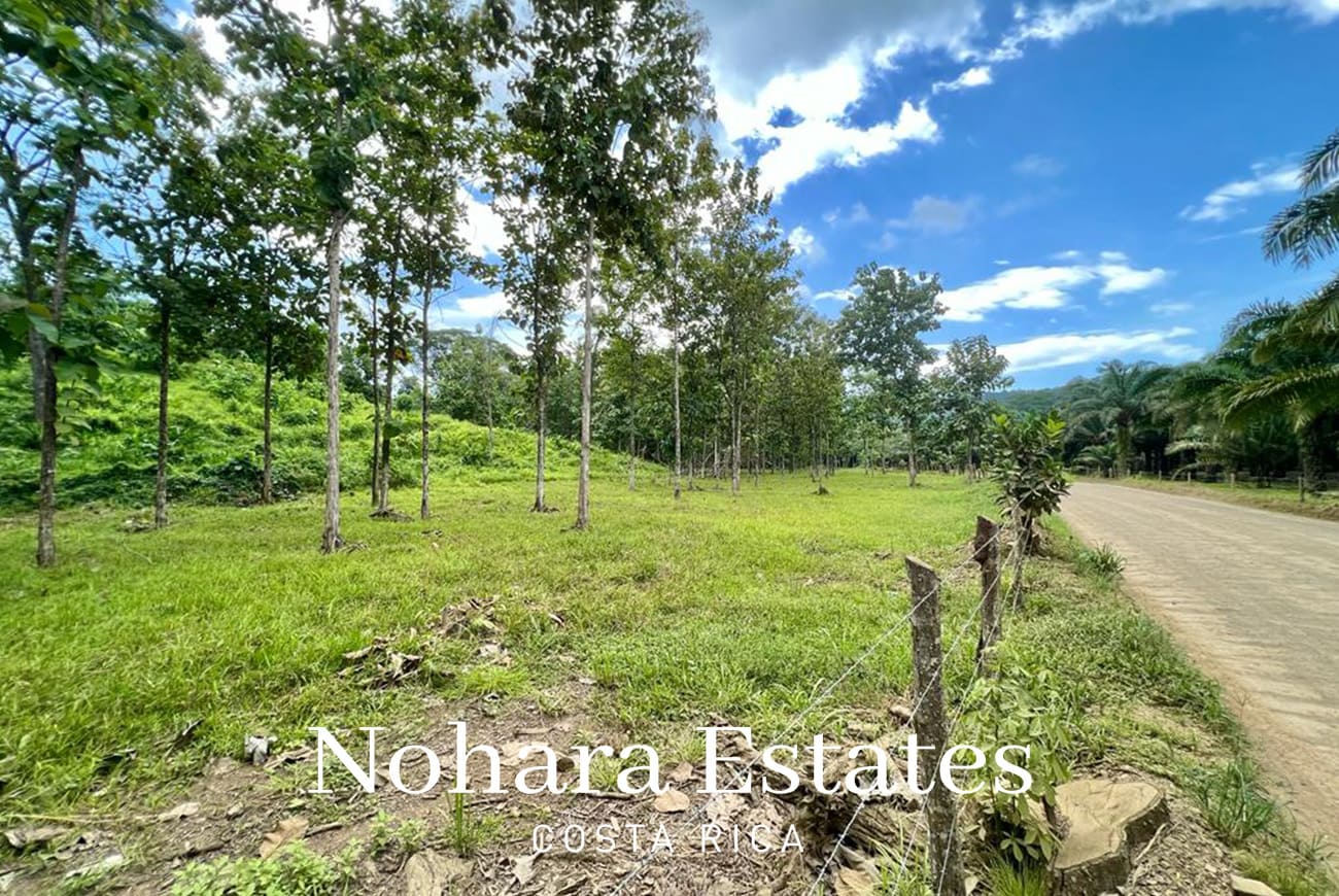Nohara Estates Costa Rica Development Opportunity In Herradura 032