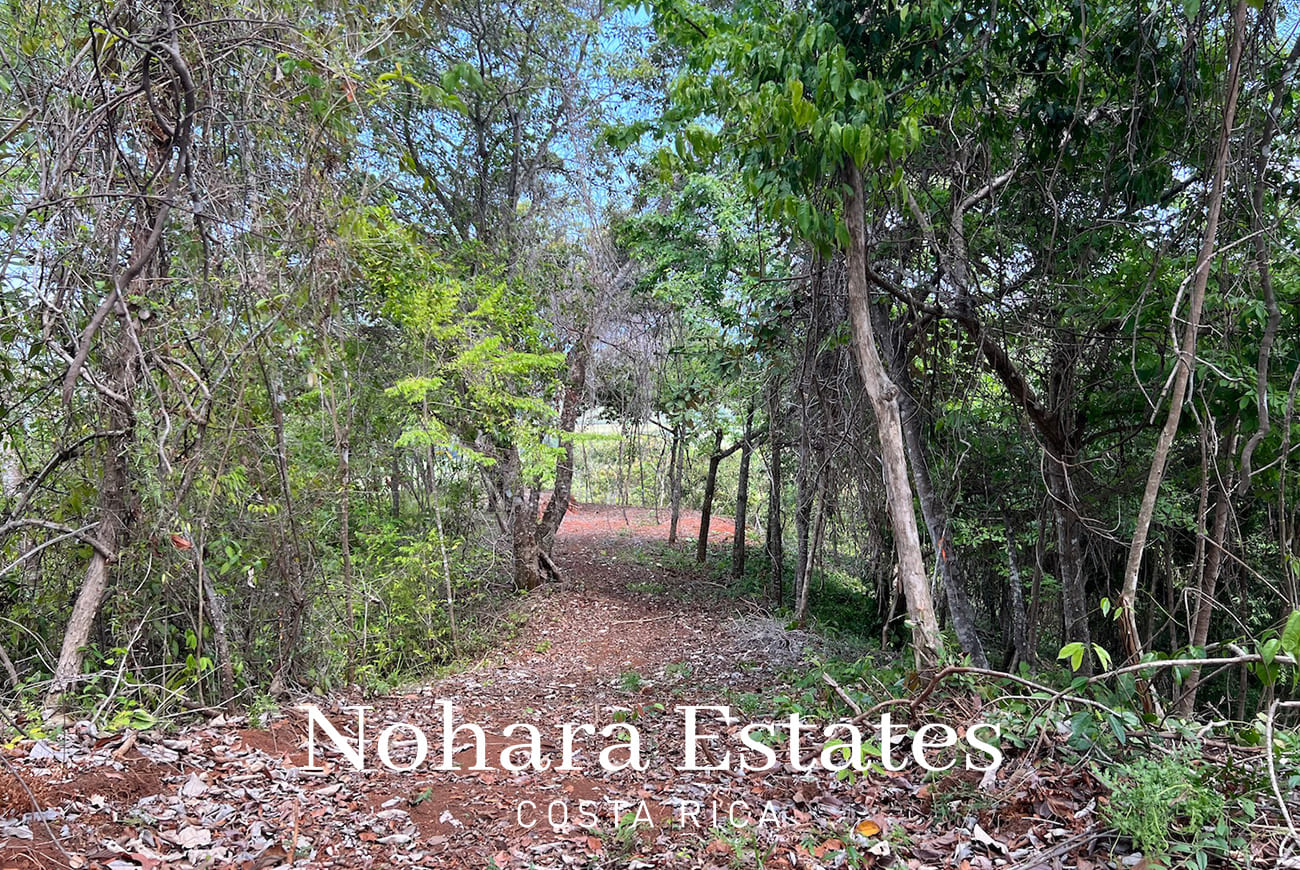 Nohara Estates Costa Rica Hermosa Falls Estates 013