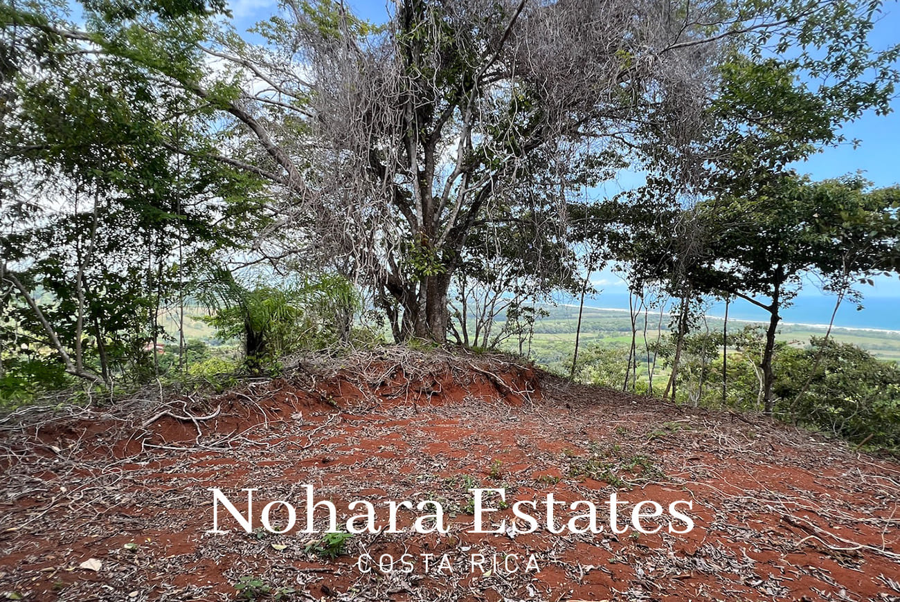 Nohara Estates Costa Rica Hermosa Falls Estates 016